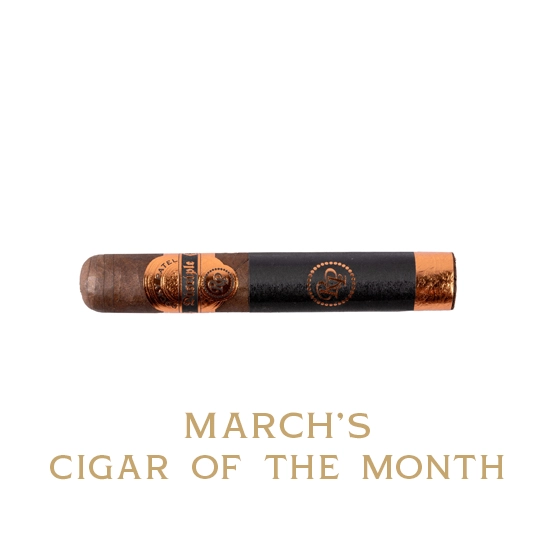 Rocky Patel Disciple Robusto Cigar - Single - Image 3