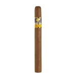 Cohiba Siglo V Cigar - Single