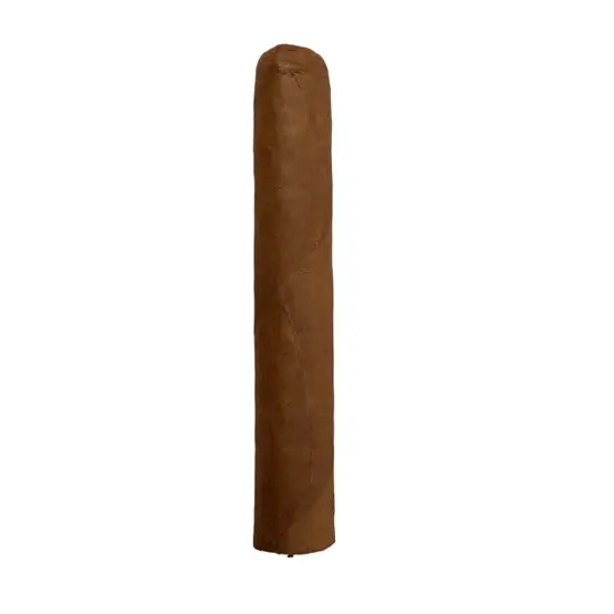 Cusano Dominican Robusto Cigar - Single - Image 2