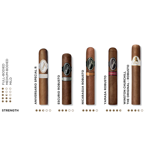 Davidoff Robusto Cigar Selection Gift Box - Image 3
