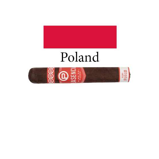 Plasencia Alma Del Fuego Candente Cigar - Single - Image 3