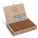 Rafael Gonzalez Coronas de Lonsdales Cigar - Box of 10