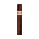 RoMa Craft Neanderthal JCF Robusto Larga Cigar - Single