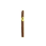 Trinidad Shorts - Single